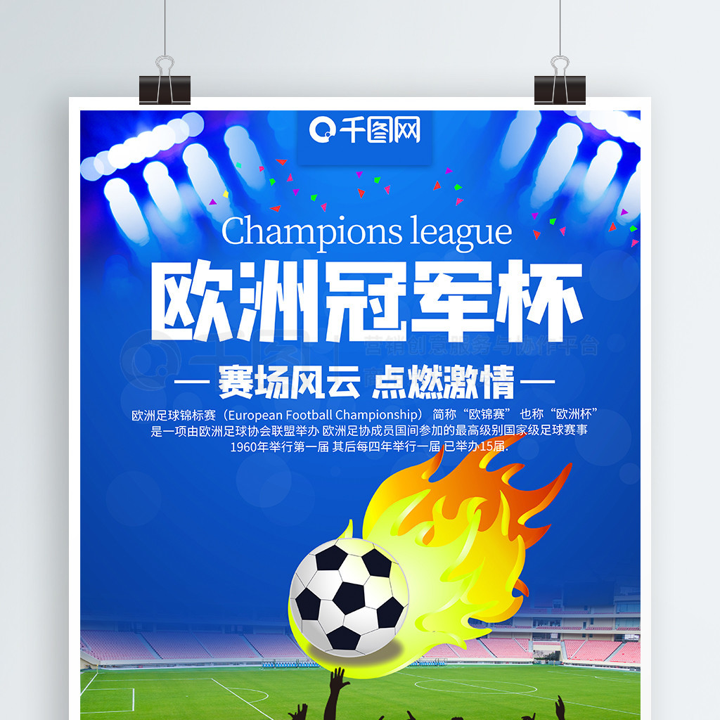 经验和专业